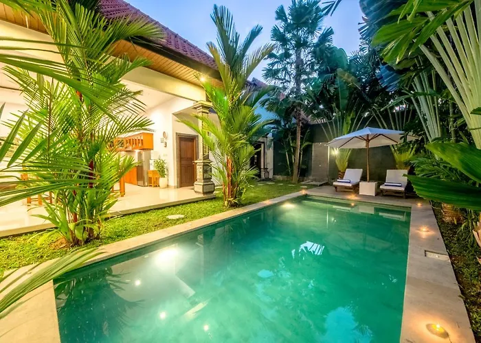 Tropical Prime Location In - 15 Minutes Walk To The *